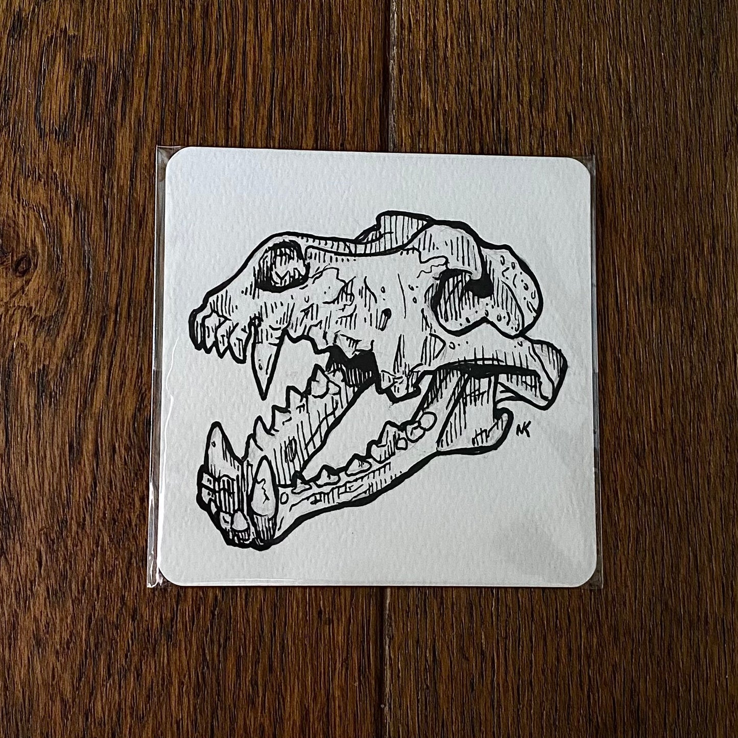 Skull Sketch