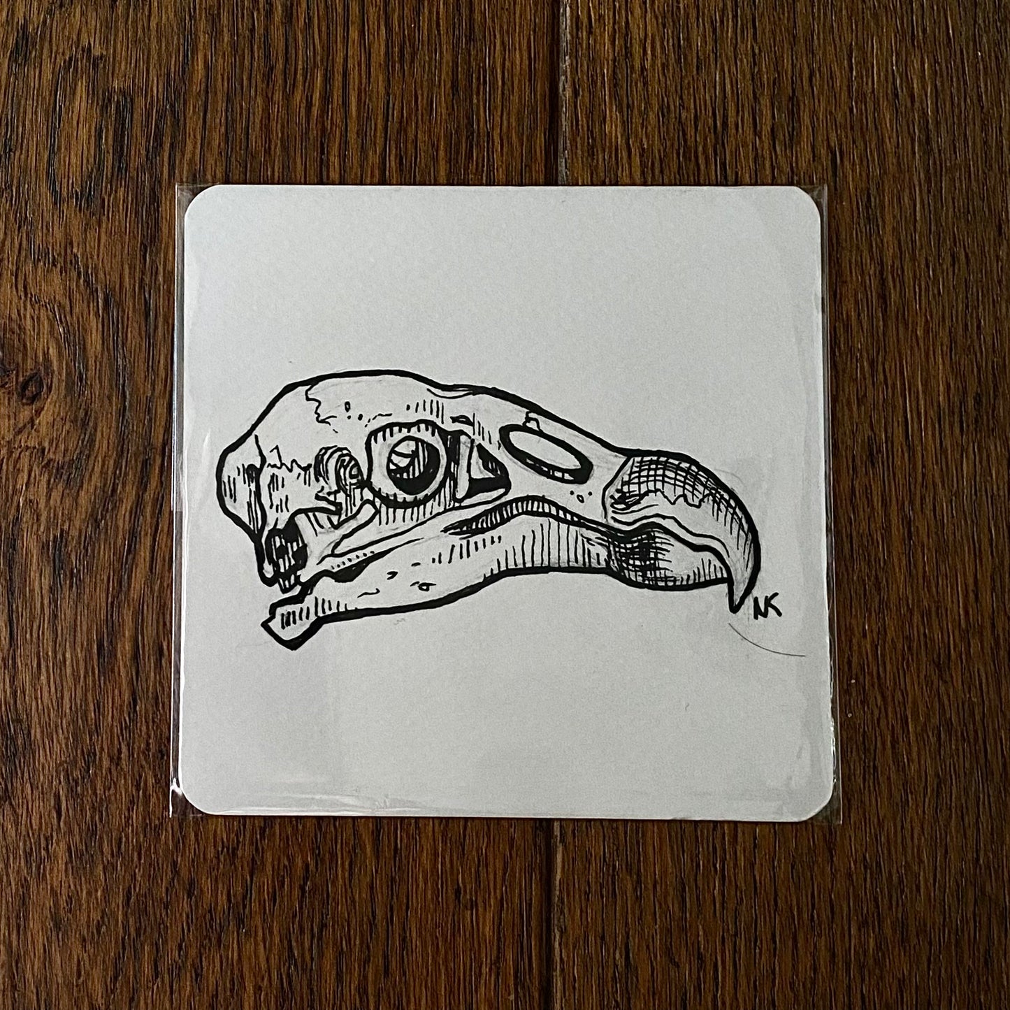 Skull Sketch