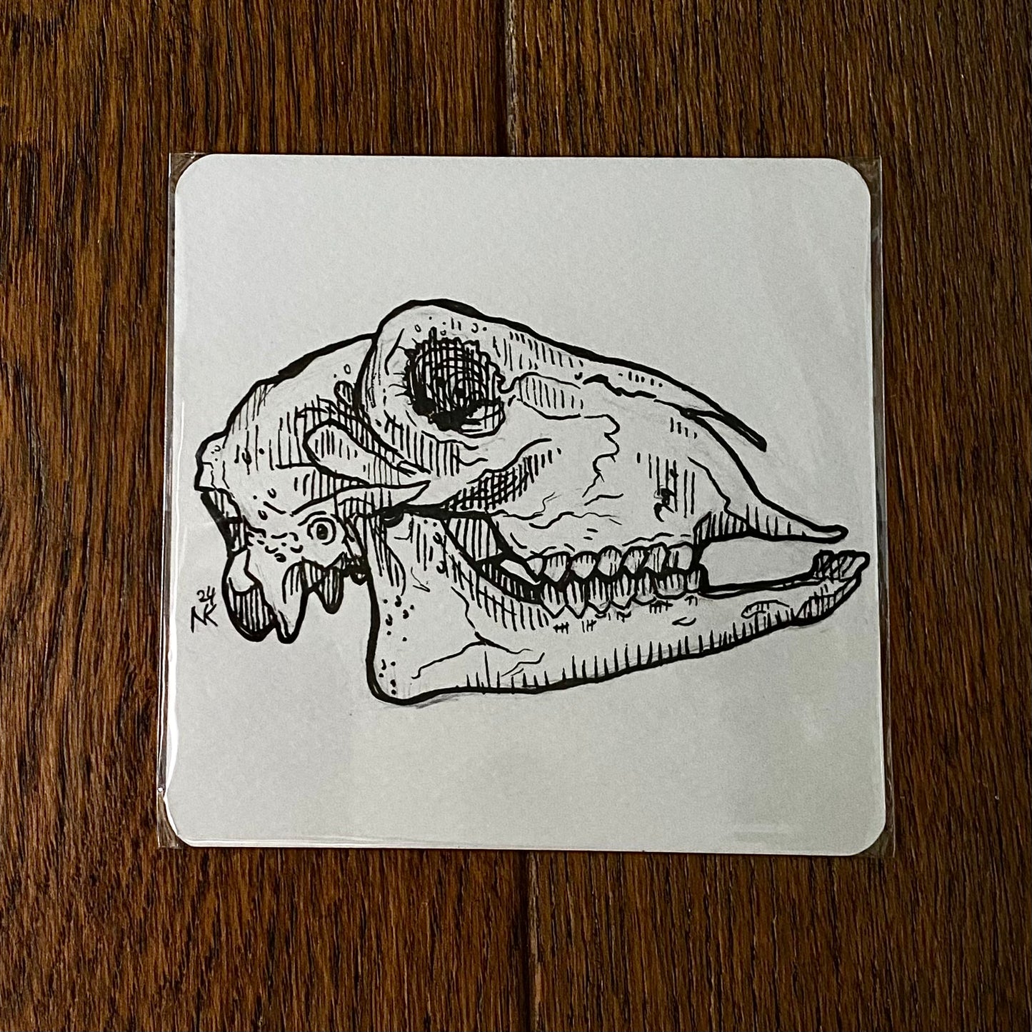 Skull Sketch