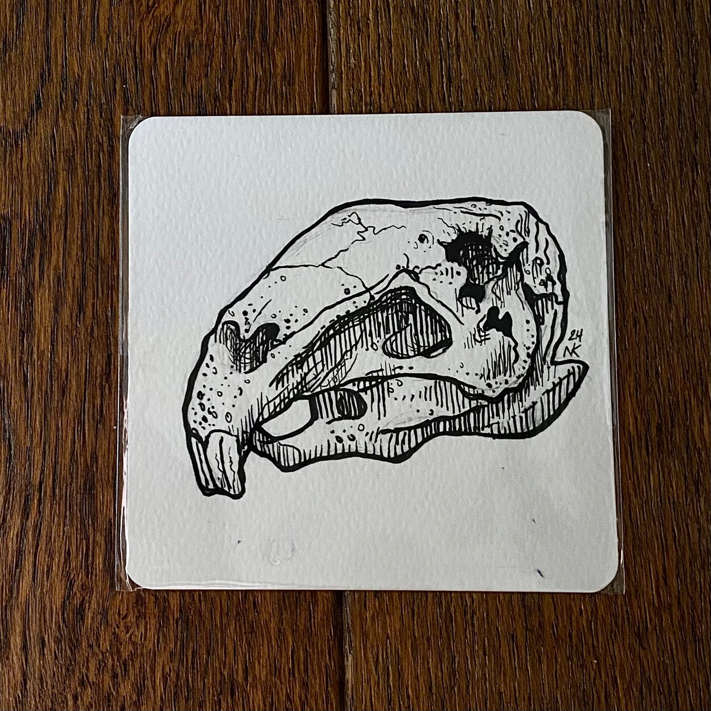 Skull Sketch