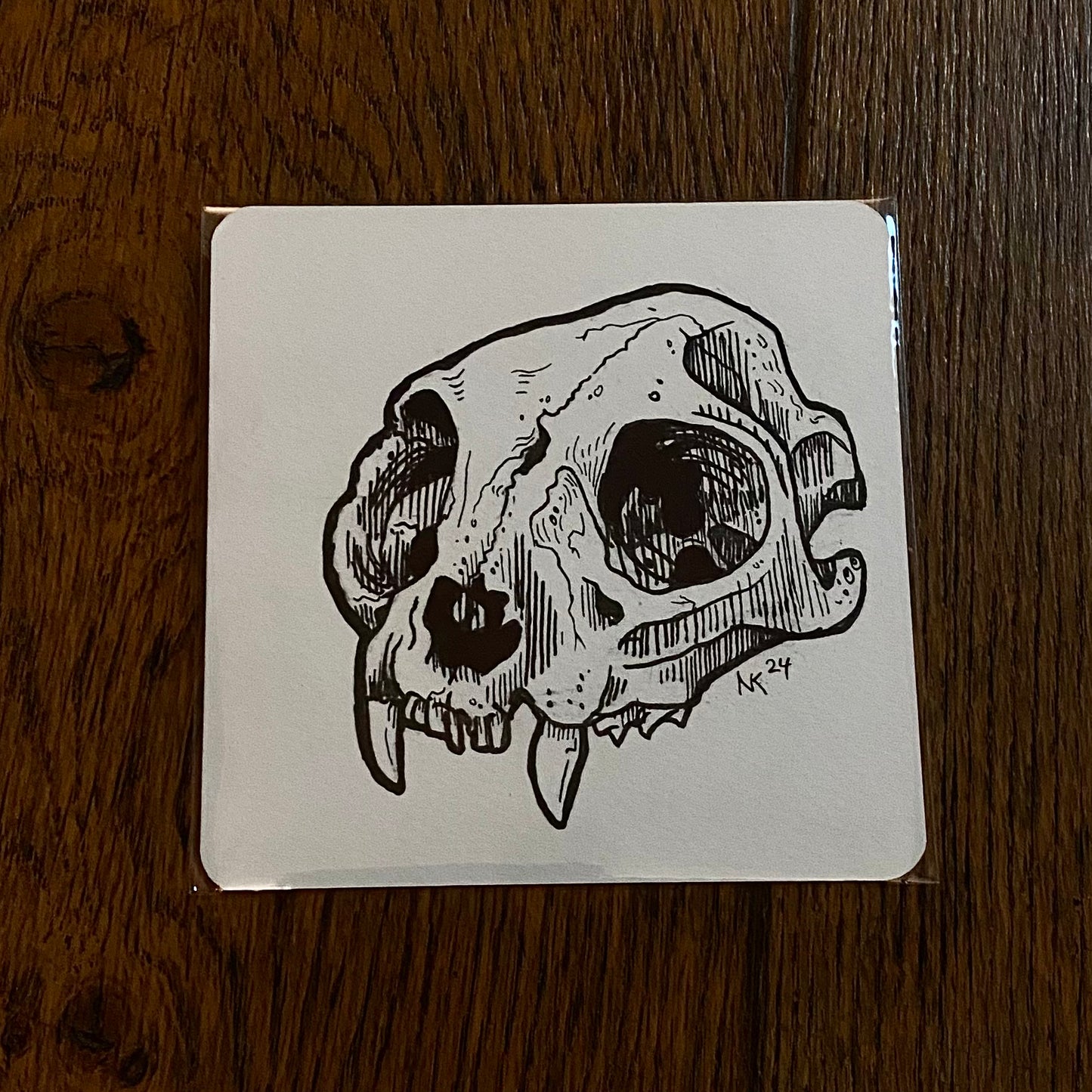 Skull Sketch
