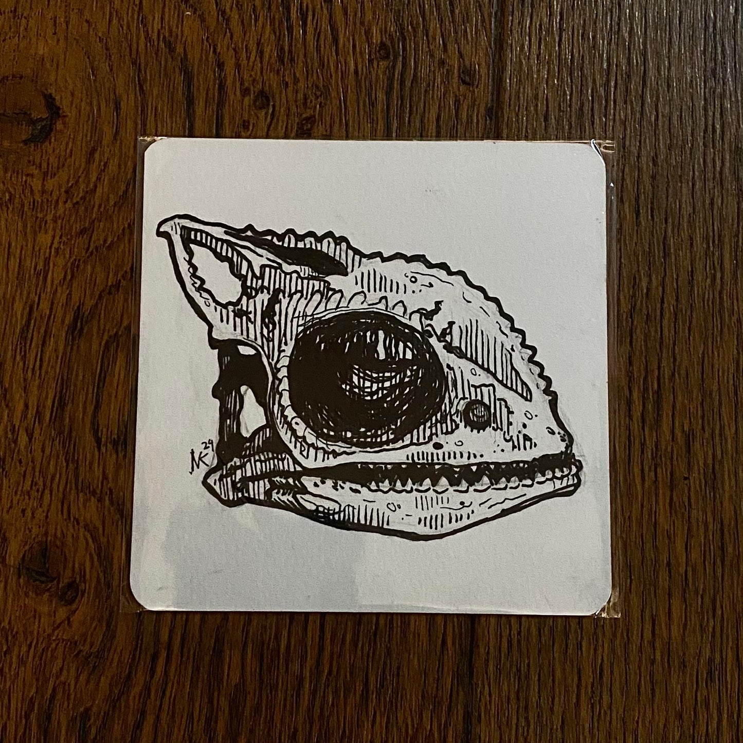Skull Sketch