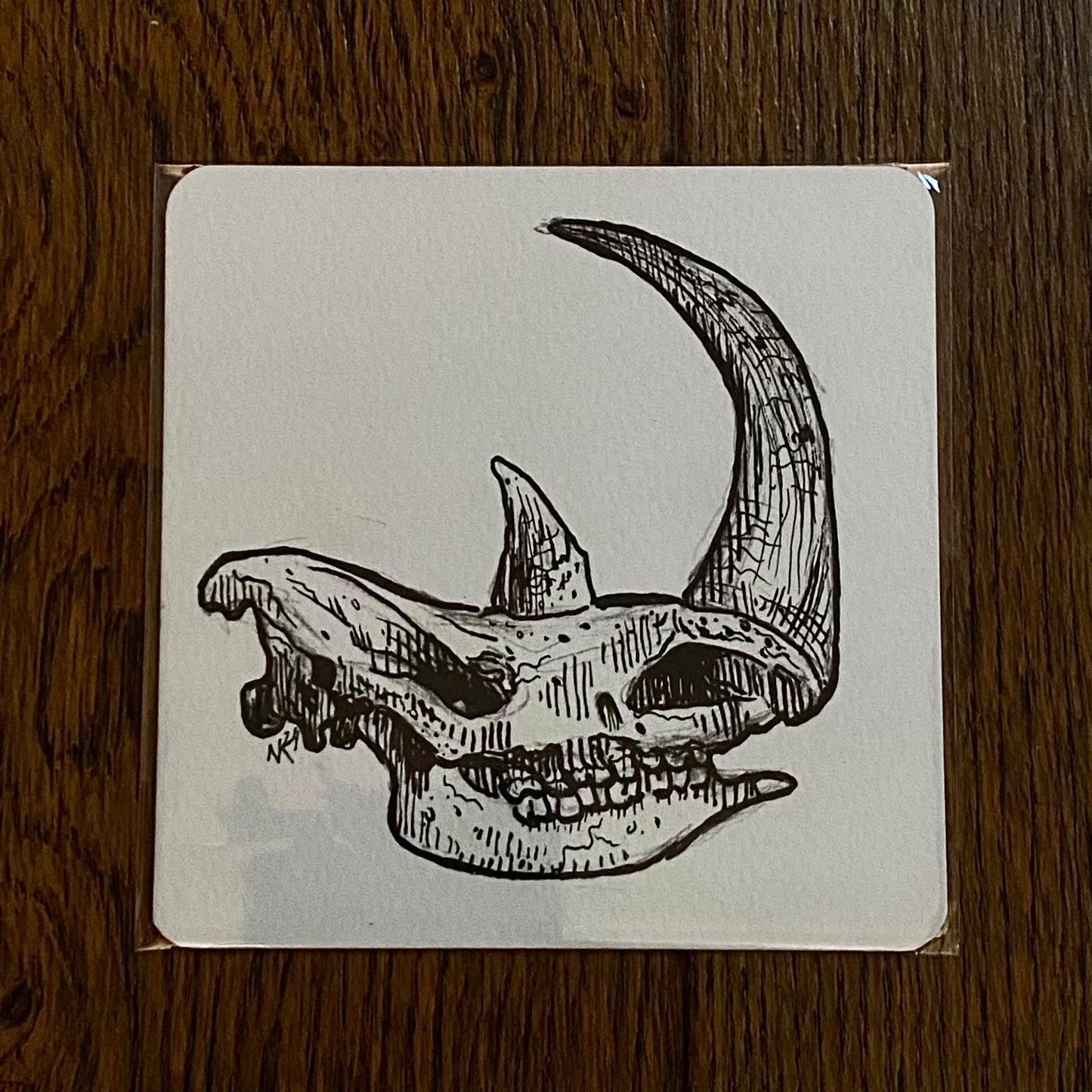 Skull Sketch