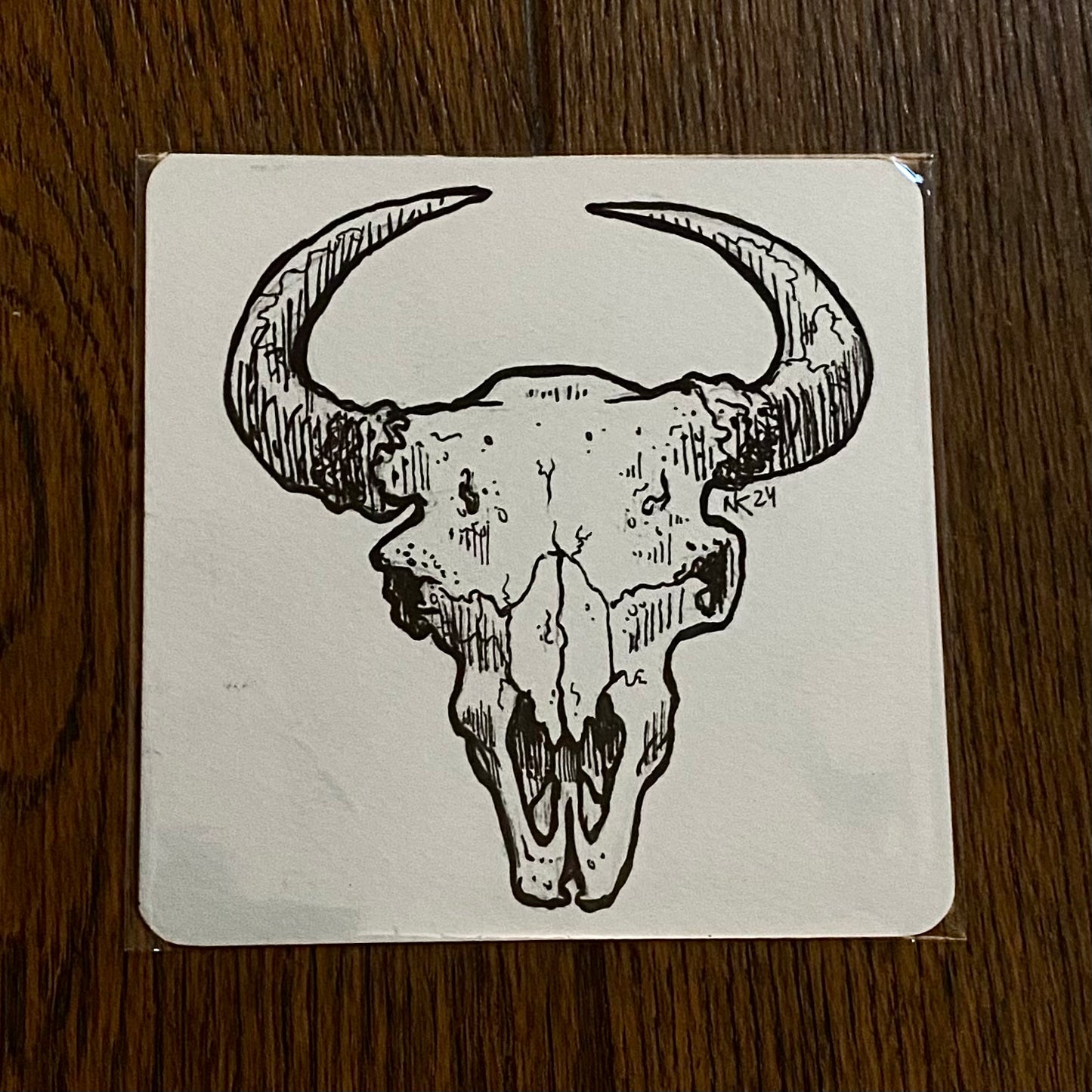 Skull Sketch