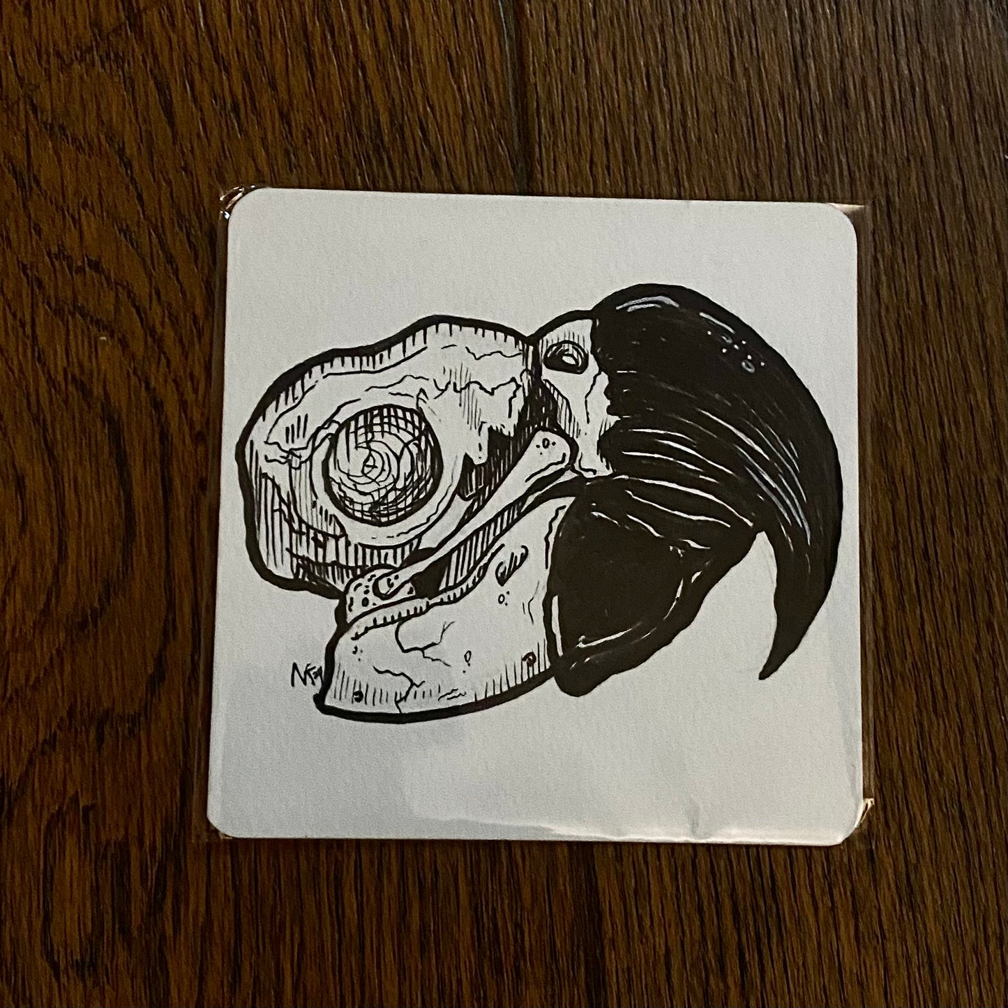 Skull Sketch