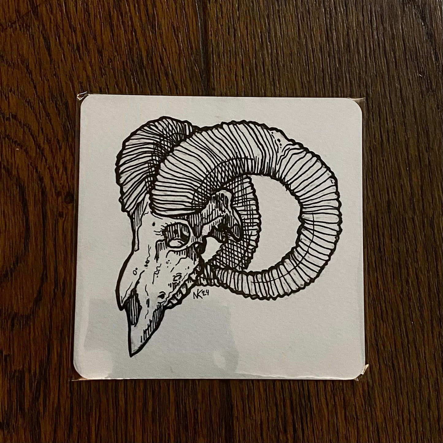 Skull Sketch