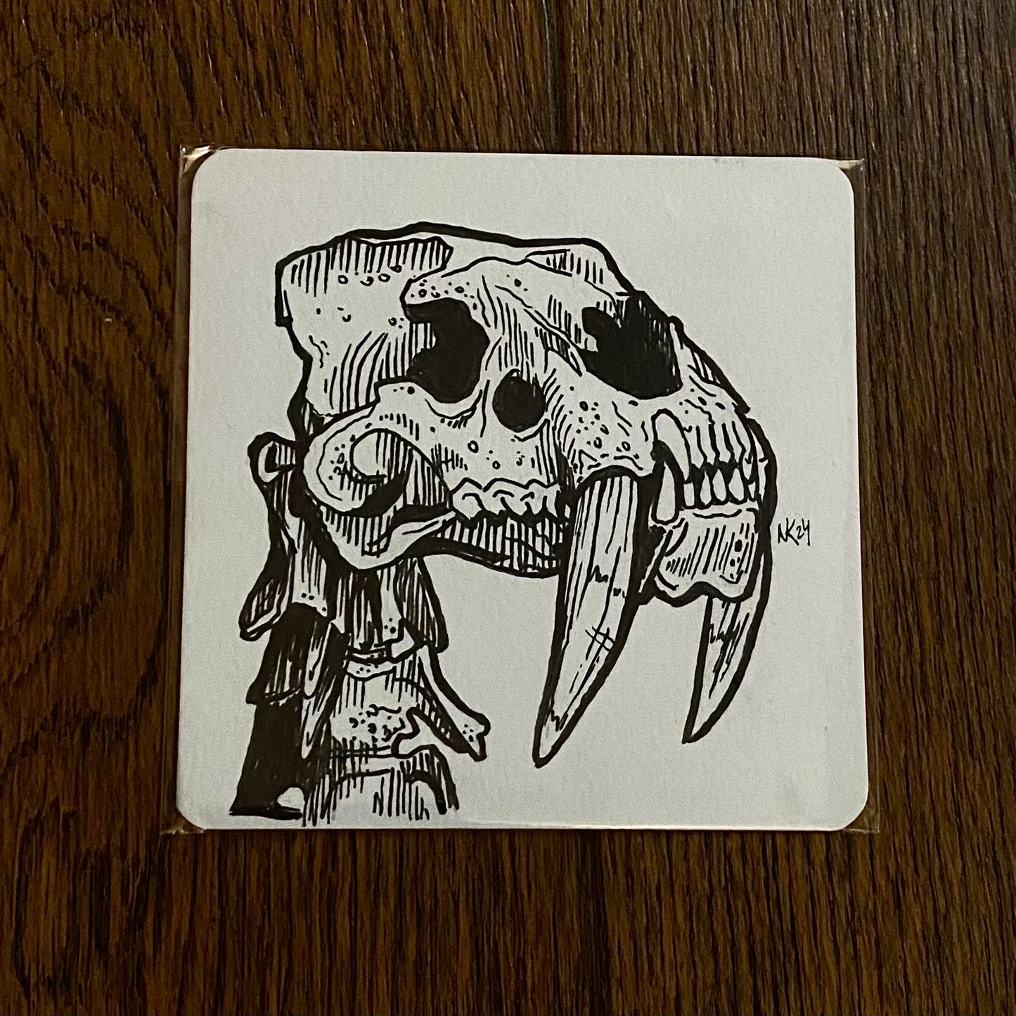 Skull Sketch