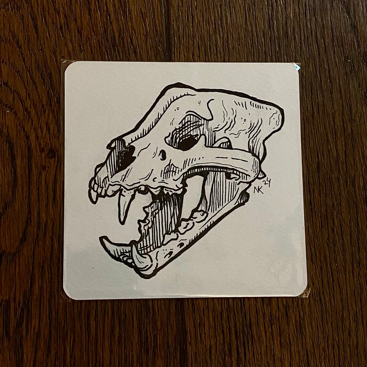 Skull Sketch