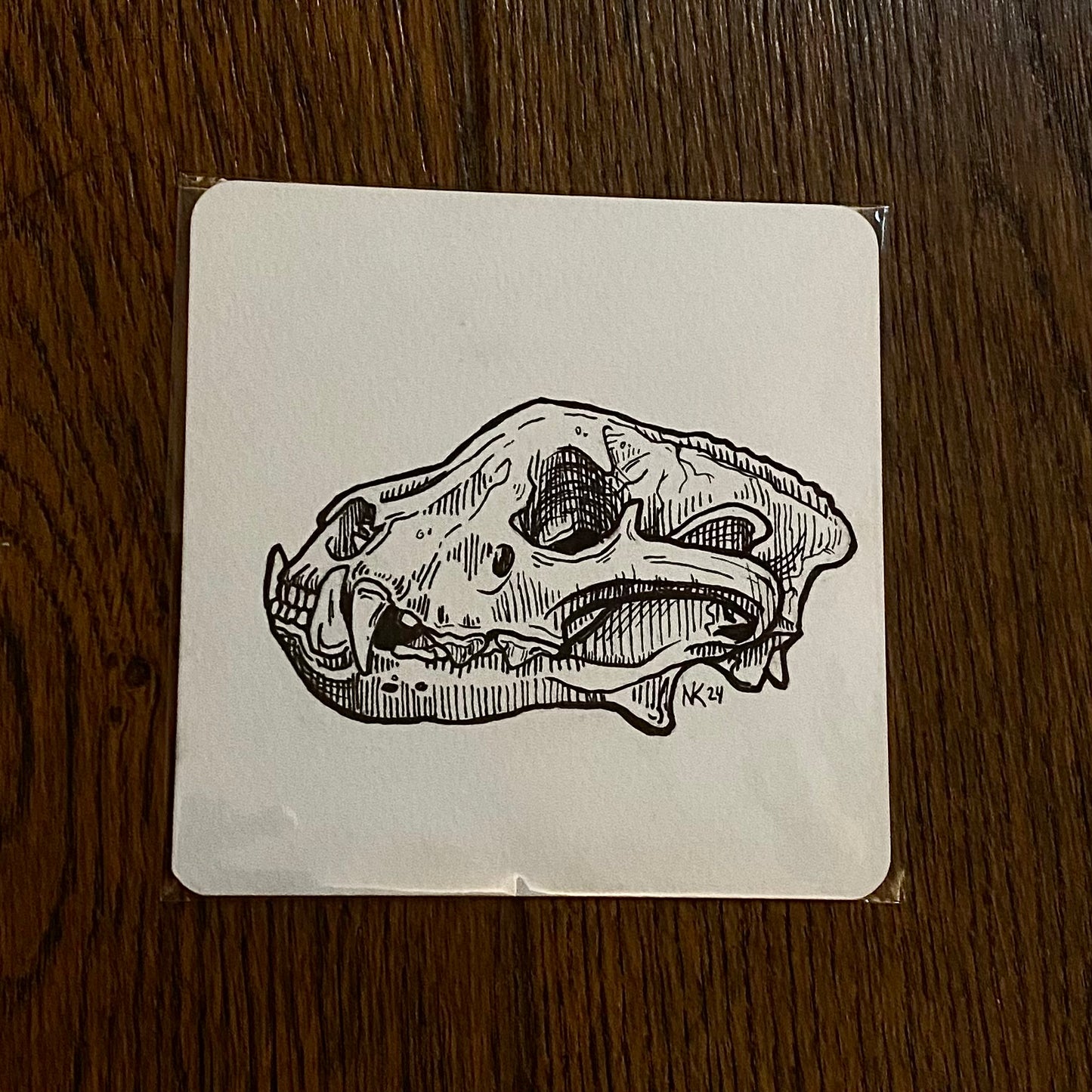 Skull Sketch